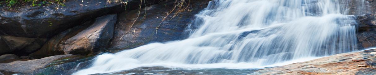 Vortex Water Revitalizer Product Description